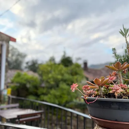 Casa Carlinhos Da Carreira Σπίτι διακοπών